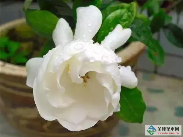 ӻɳƼ,Ϻɻأɳԣɳ̻ʩɳؼӺɳͺɳɳأͺɣɳ̻ʩɳ̻